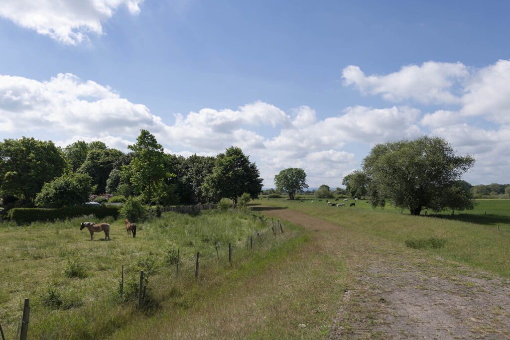 Landschaft mit Pferden