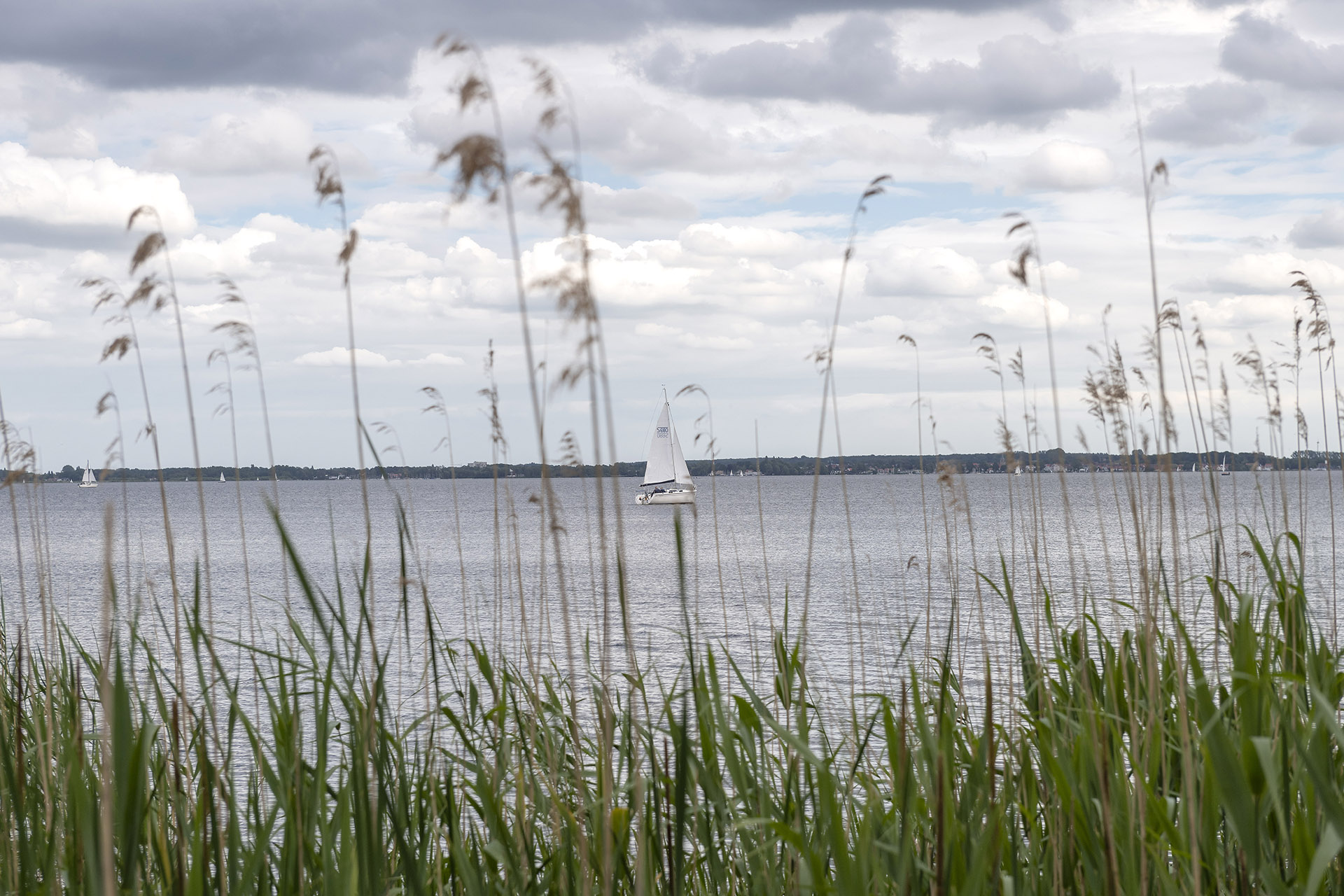 Steinhuder Meer