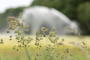 Landwirtschaftliche Bewässerung